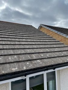Falkirk Roof Cleaning Services